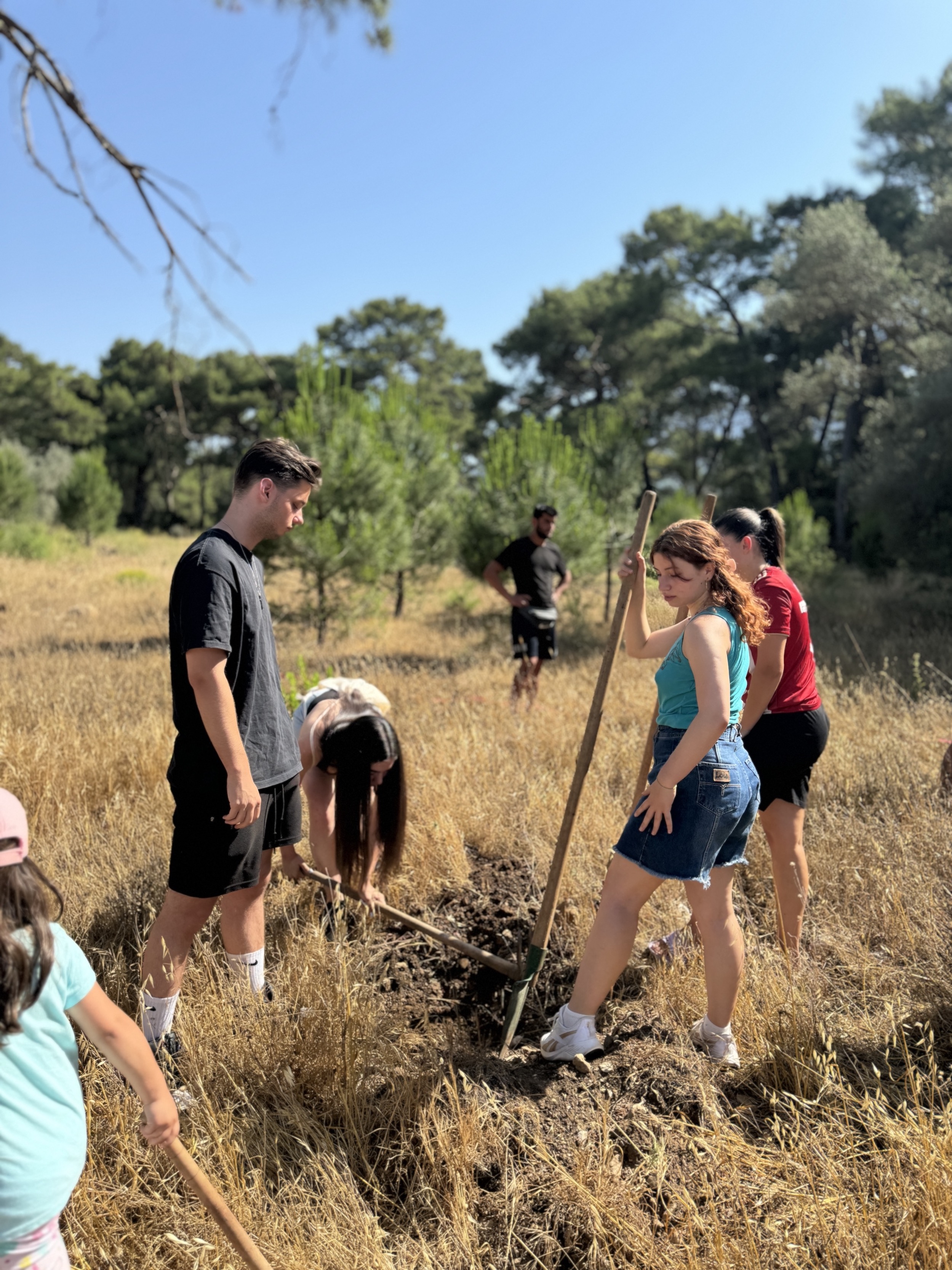 --FOLLOW UP-- Erasmus+ Youth Exchange ”LET’S PROTECT OUR FORESTS! LET’S PROTECT OUR FUTURE!” 30 mai – 6 Iunie 2024