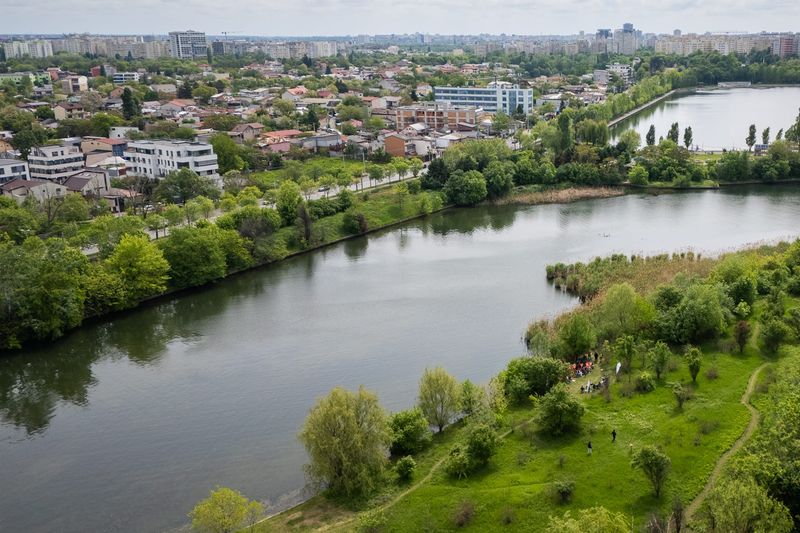 Advocacy alegeri locale PMB | Priorități de mediu pentru București