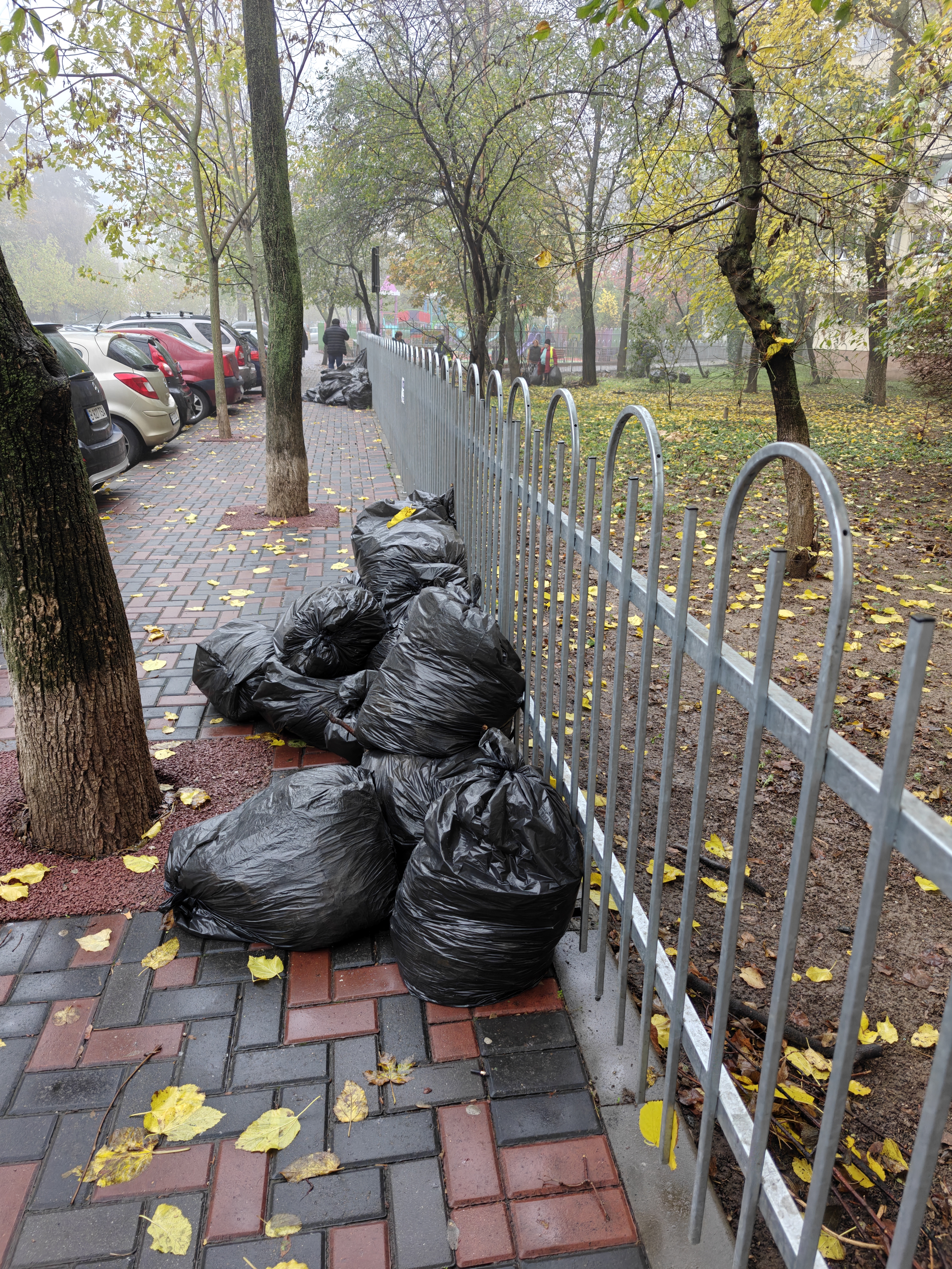 Frunzele din gradina ta