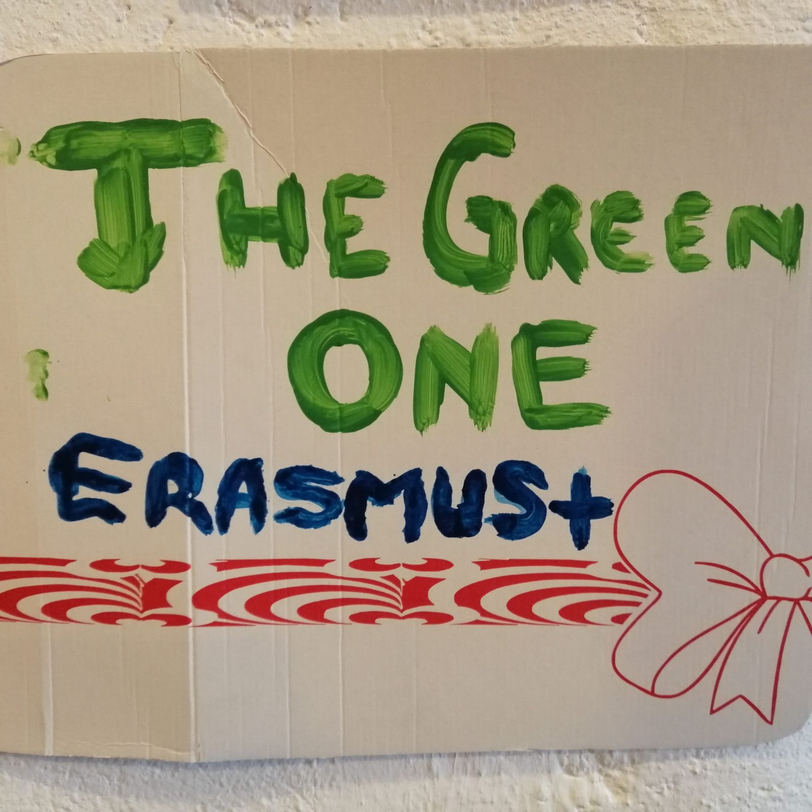 Schimb de experiență pentru tineri “THE GREEN ONE”