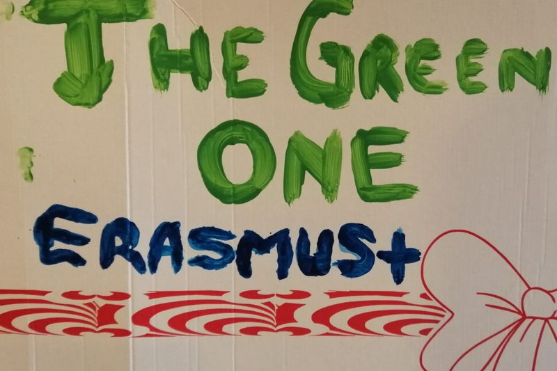 Schimb de experiență pentru tineri “THE GREEN ONE”