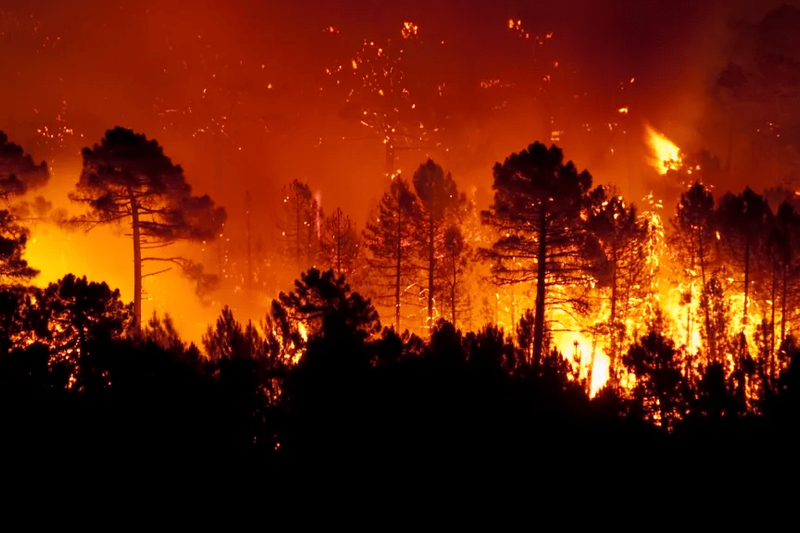 Impactul Schimbărilor Climatice Asupra Incendiilor din Los Angeles