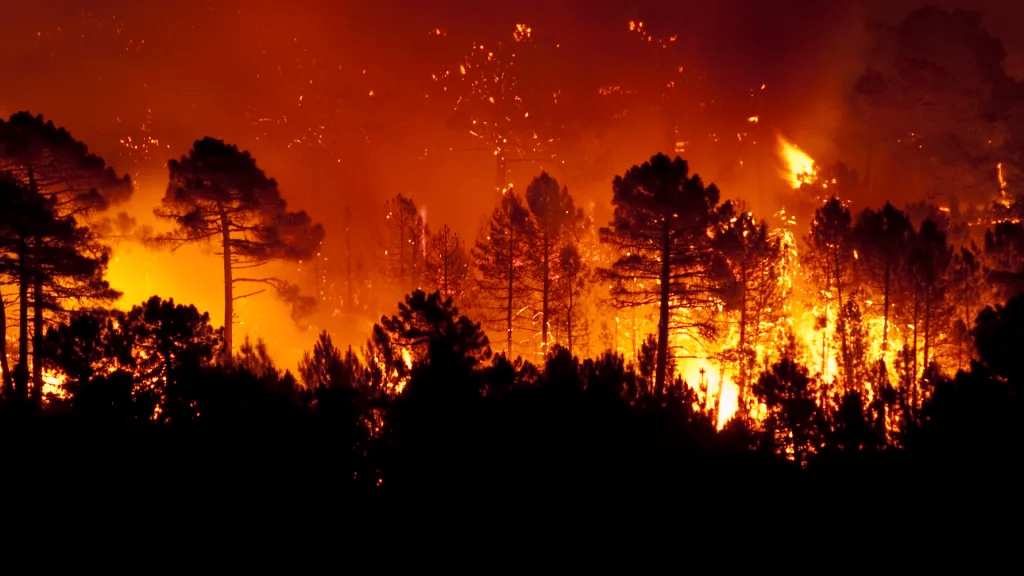 Impactul Schimbărilor Climatice Asupra Incendiilor din Los Angeles