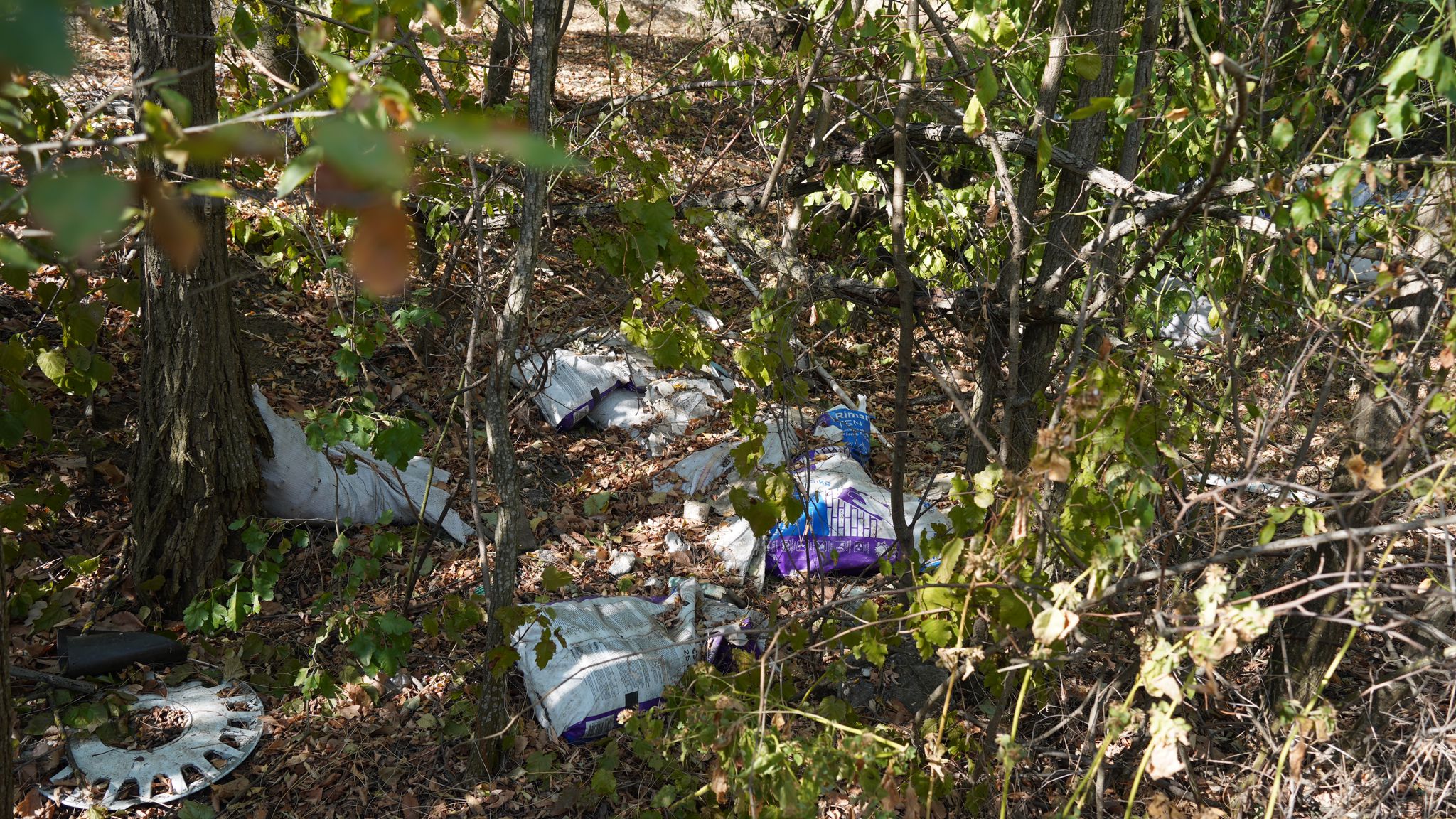 Ecologizare Ilfov