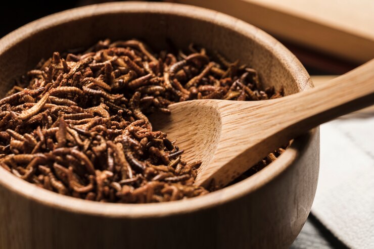 Cultivăm Insecte pentru Consum în România