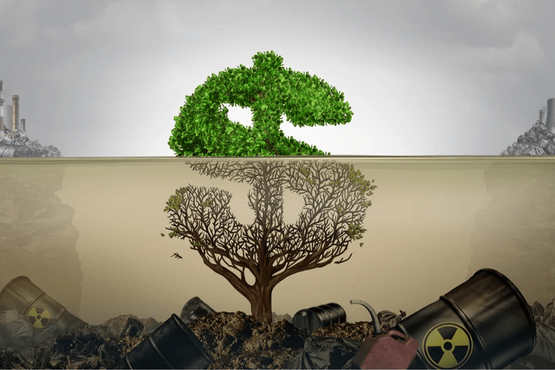Greenwashing în România: Cum să nu fii păcălit de noul "verde" de pe rafturi
