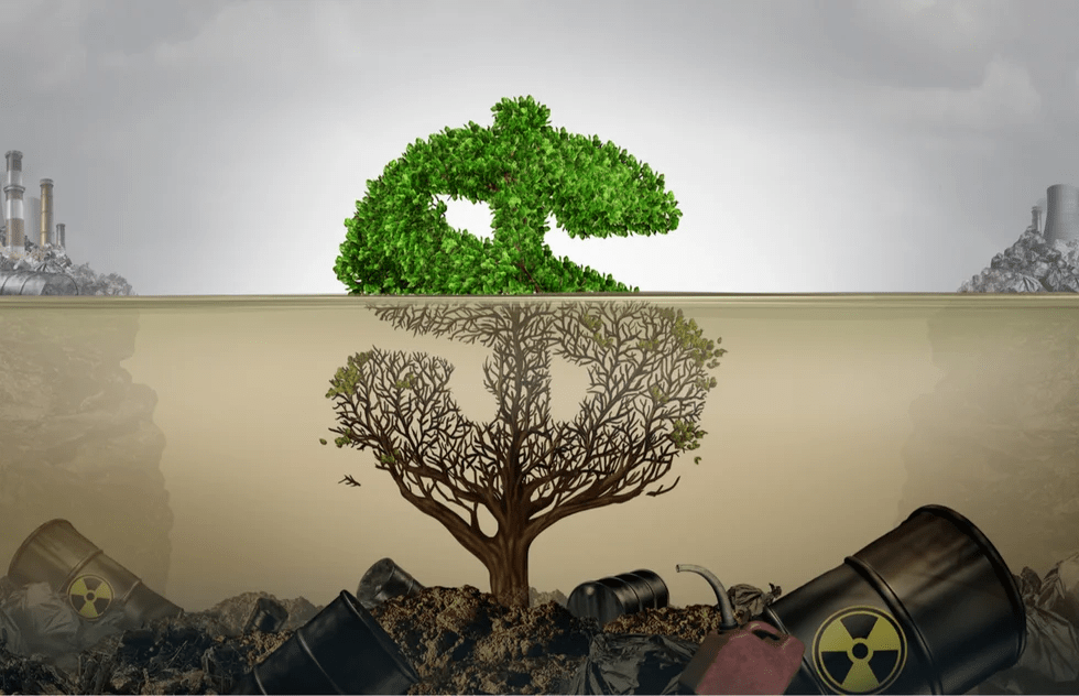 Greenwashing în România: Cum să nu fii păcălit de noul "verde" de pe rafturi