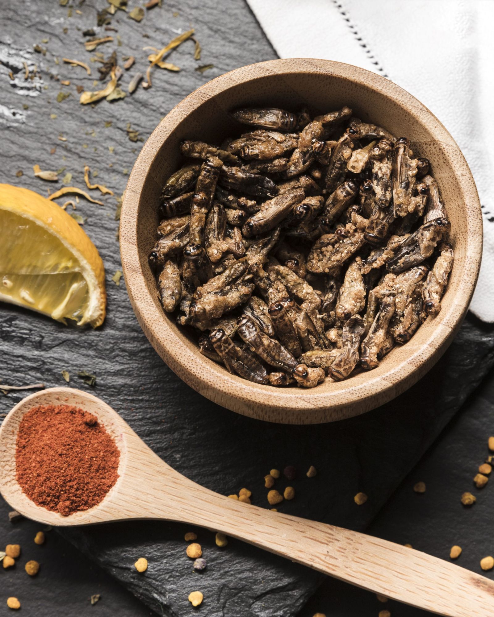 Cultivăm Insecte pentru Consum în România