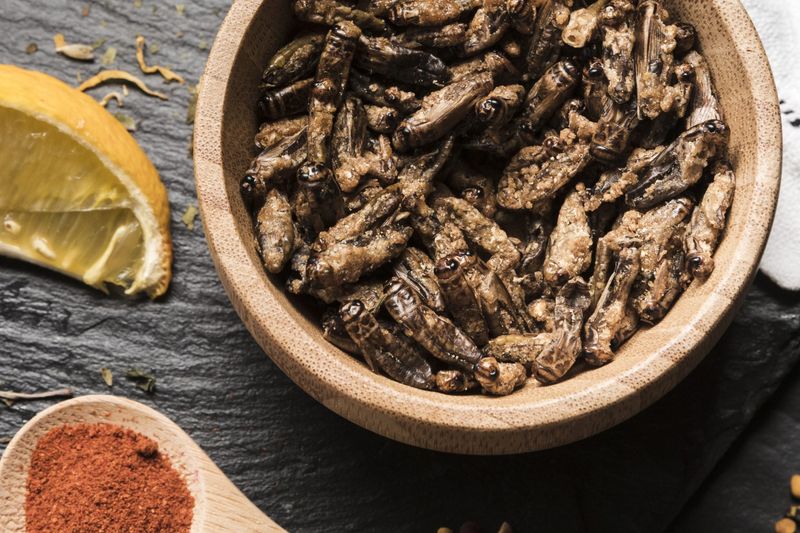 Cultivăm Insecte pentru Consum în România
